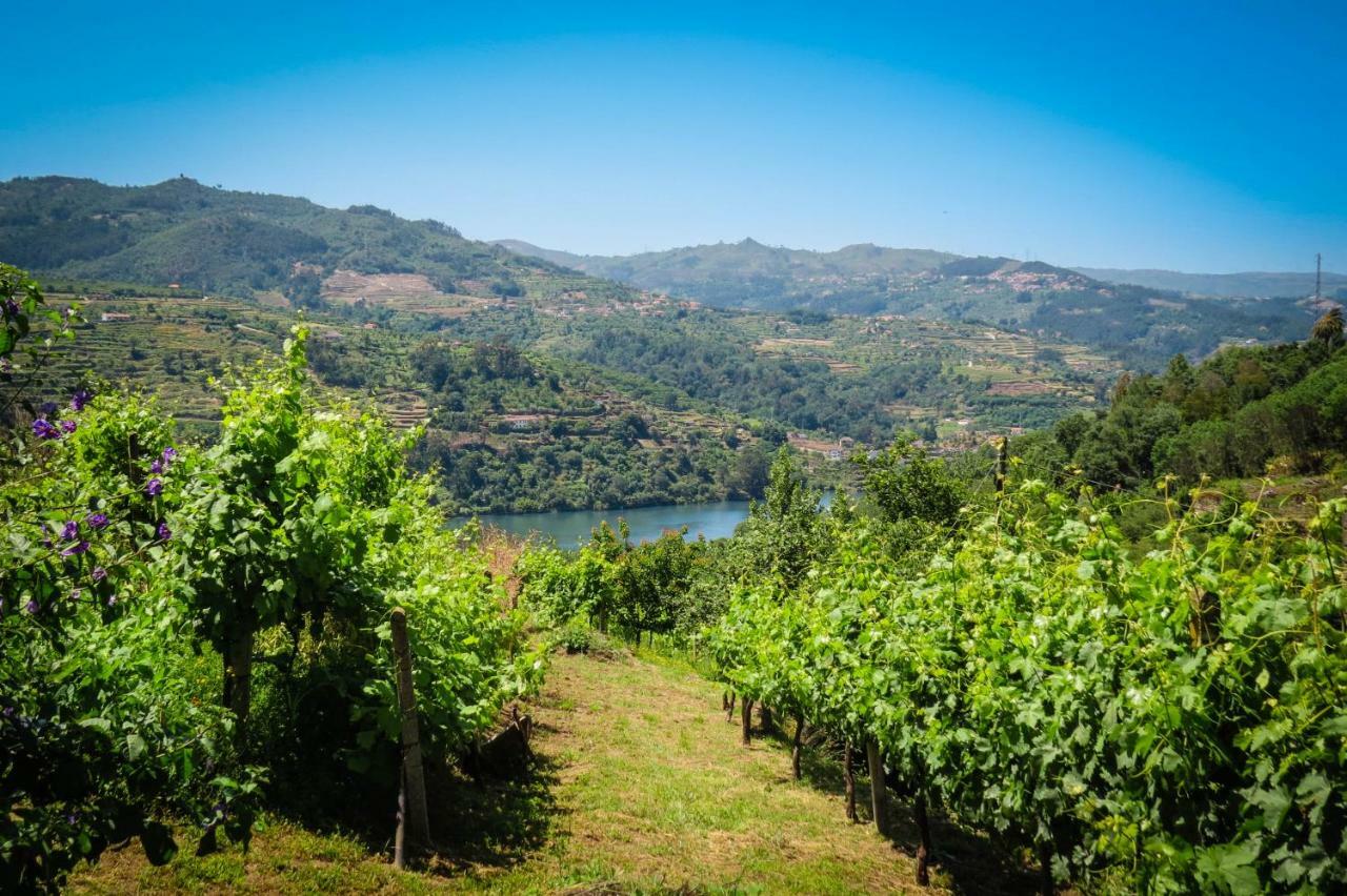 Casa Da Mouta - Douro Valley Baião Exterior foto