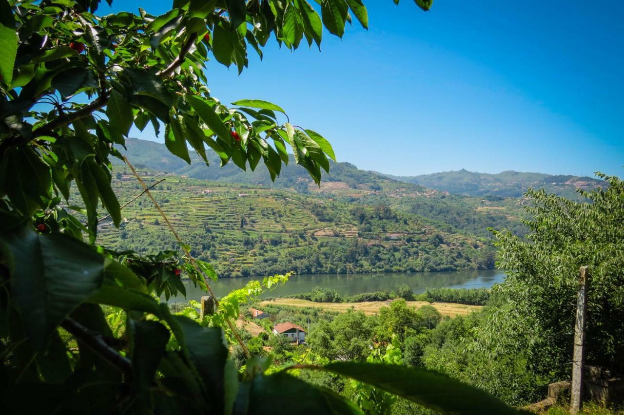 Casa Da Mouta - Douro Valley Baião Exterior foto