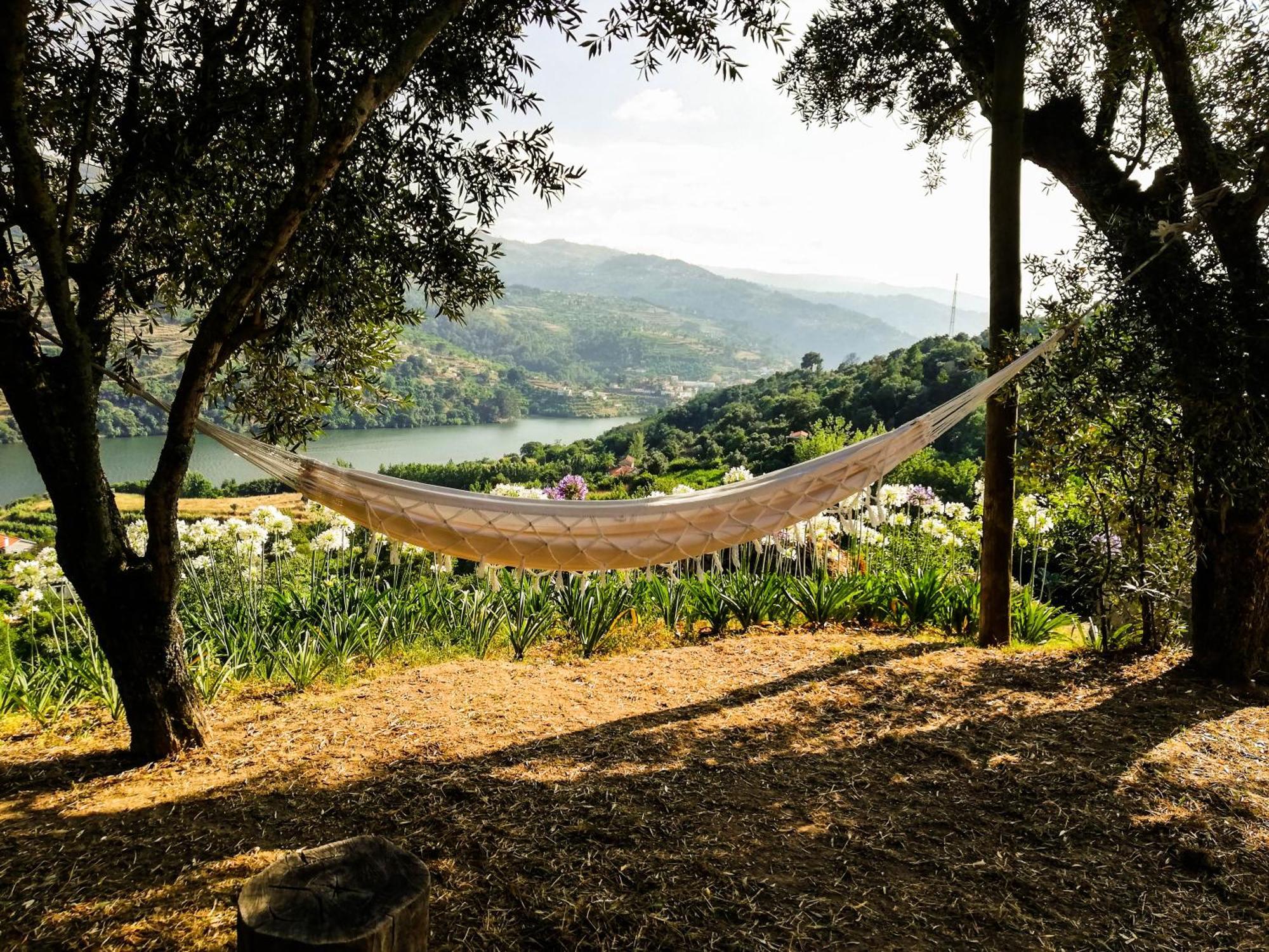 Casa Da Mouta - Douro Valley Baião Exterior foto